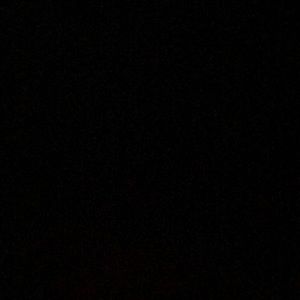 Meet your Posher, Lexi